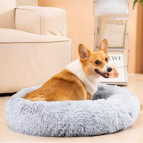 MDDK DY Hundebett Katzenbett Flauschig，Hundekissen Waschbar Hundekorb, Hundekörbchen 70 cm Rund, Hundesofa Plüsch rutschfeste Unterseite，Hundebett Kleine Mittelgroße Grosse Hunde Katzen, Hellgrau von MDDK DY