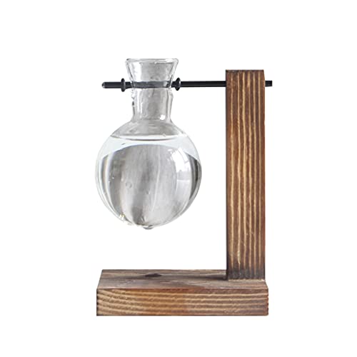 Pflanzen-Terrarium mit Holzständer, Luft-Pflanzgefäß, Glasvase, Metallhalter, Retro-Tischplatte für Hydrokultur, Zuhause von MDHQ