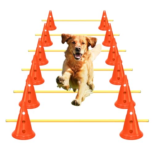 MDTMR Agility-Hürden-Kegel-Set für Hunde, Agility-Kurs, Hinterhof-Set mit 12 Agility-Kegeln, 6 Agility-Ruten, Agility-Trainingsgerät, höhenverstellbares Hindernis mit Aufbewahrungstasche (Orange) von FOTN