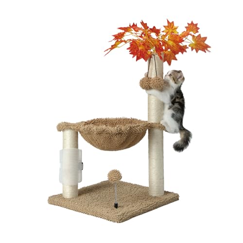 MECOOL Kleiner Kratzbaum mit Hängematte, für Kätzchen im Innenbereich und kleine Katzen bis zu 3,2 kg, selbstmassage, Bursh, hängendes Ballspielzeug, Ahorn, Beige von MECOOL