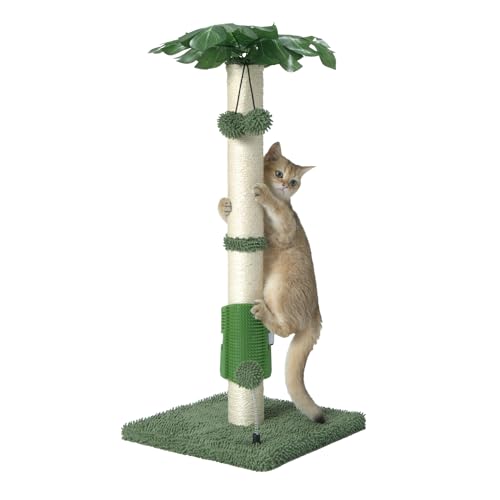 MECOOL Kratzbaum für Katzen, 76,2 cm, niedlich, für Katzen und Kätzchen, natürliches Sisalseil und hängender Ball, Spielzeug, selbstpflegende Bürste, Grün von MECOOL