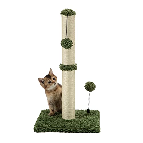 MECOOL Premium Basics Katzenkratzbaum Sisal-Kratzbäume mit hängendem Ball, 55,9 cm, für Kätzchen oder kleinere Katzen, Kaktusgrün von MECOOL