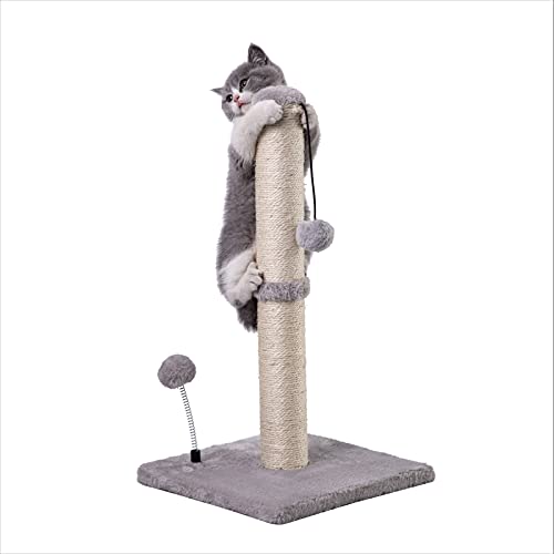 MECOOL Premium Basics Naturkratzbaum Katzen Kratzmöbel, Sisal, mit hängendem Ball, 55,9 cm, für Kätzchen oder kleinere Katzen, grau von MECOOL