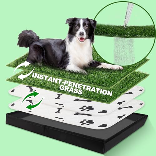 MEEXPAWS Große Hundetoilette aus Kunstrasen mit Faltbarer Liner-Basis | 84×58 cm|2PCS Kunstrasen der Neuen Generation für Hundetöpfchen, gesäumte Kante, 2 Stück Wiederverwendbares Pinkelkissen von MEEXPAWS