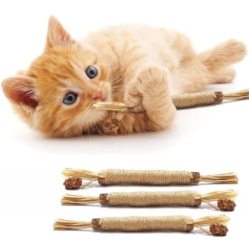 MEIION Holz Polygonum Katze kauen Spielzeug - Multifunktionale interaktive Katze Teaser-Stick mit Bast und Insektengallen zu fördern gesunde Unterhaltung für Haustiere von MEIION