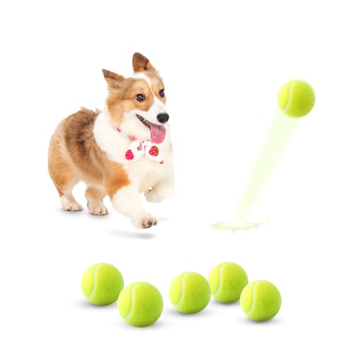 MEKAPLE Mini-Tennisbälle für Haustiere, 5,1 cm, Hundetraining, Tennisbälle für kleine Hunde, interaktive Hundespielbälle, passend für 5,1 cm Hundeballwerfer, 6 Stück von MEKAPLE