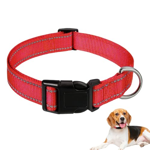 1 x rotes Hundehalsband, reflektierend, gepolstert, Neopren, für kleine Hunde, verstellbar, strapazierfähiges Nylon, rotes Halsband für Hunde, geeignet für kleine, mittelgroße Hunde (Größe: 30 cm – 50 von MEKEET