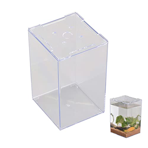 Acryl Aquarium Becken, Aquarium Fische Brutkasten, Acryl Terrarium Reptile Fütterungsbox für Fische und Schildkröte （12x13x19 cm） von MENAYODA