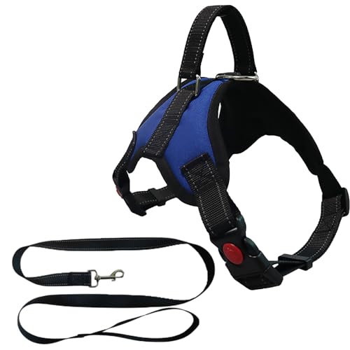 MENGTEQI Professionelles Hundegeschirr für Hunde, bequem und atmungsaktiv, anpassbar für kleine, mittelgroße und große Hunde, geeignet für Spaziergänge, Laufen, Training usw. (Blue, S) von MENGTEQI