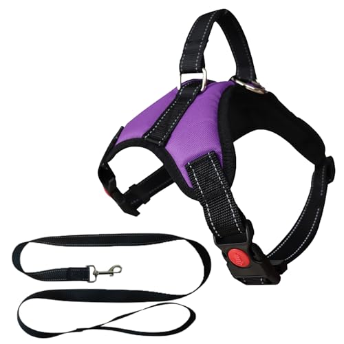 MENGTEQI Professionelles Hundegeschirr für Hunde, bequem und atmungsaktiv, anpassbar für kleine, mittelgroße und große Hunde, geeignet für Spaziergänge, Laufen, Training usw. (Purple, L) von MENGTEQI