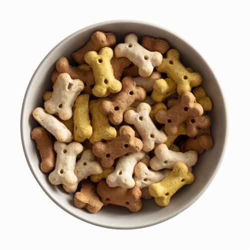 MERA Bakery Puppy Knochen Mix (10kg), Hundeleckerli für Training oder als Snack, Leckereien für Hunde aus natürlichen Zutaten, schonend gebackene Hundekekse von MERA