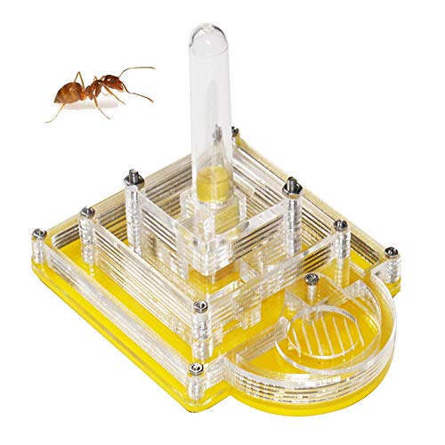 Ant Castle Acryl Transparentes Nest Hexapod Fütterungssystem Lebensraum Geburtstagsgeschenk Geschenk Pet Mania Hauskäfige von MERAXI