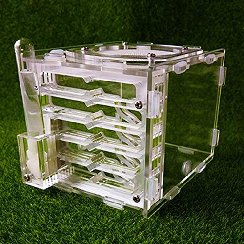 Ant Castle Live Ant Habitat Acryl Farm Worm Villa Pet Mania House Nest Display Box Educational Formicarium Place Where Ants Live (Color : A) von MERAXI