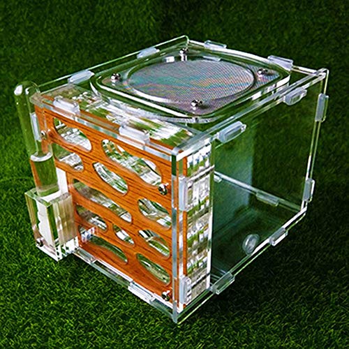 Ant Castle Live Ant Habitat Acryl Farm Worm Villa Pet Mania House Nest Display Box Educational Formicarium Place Where Ants Live (Color : B) von MERAXI