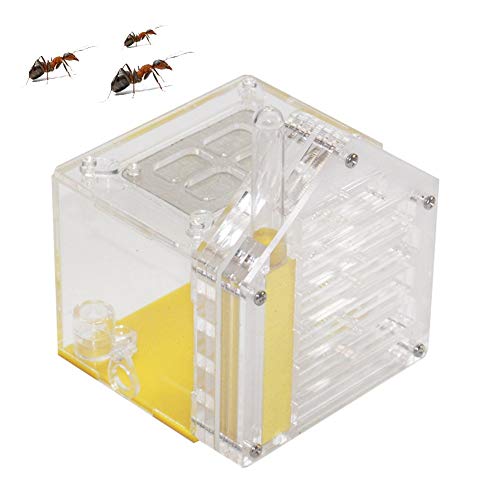 Ant Castle Live Habitat Acryl Nest Large Villa Farm House Formicarium Moisturizing Water Tower Lair for Ameisenfütterung von MERAXI