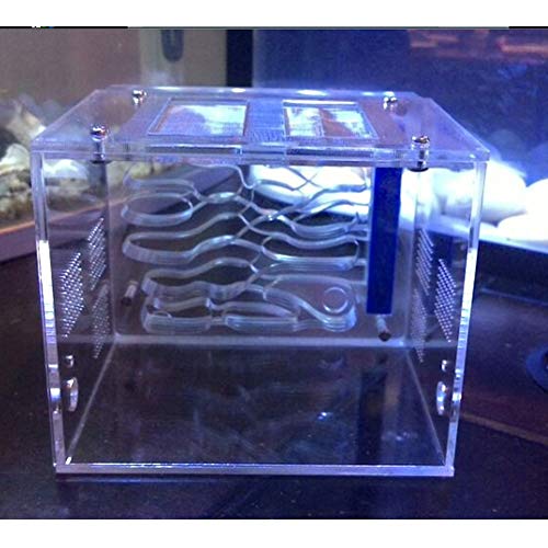 Ant Farm Acrylic Transparent Worm Cages Anthill Pet Mania Habitat Feeding Nest System Study Behavior of Ants and Ecosystem Birthday Present Gift von MERAXI