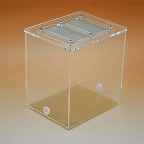 Ant Farm Ant Workshop Worm Cage Nest Worm Villa DIY Transparent Habitat Feeding Worm System Study Behavior of Ants and Ecosystem von MERAXI