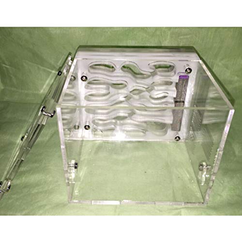 Ant Nest Farm Acrylic Transparent Maze Large Viewing Area for Kids and Adults Educational Formicarium Ant Tower Display Box Birthday Present Gift von MERAXI