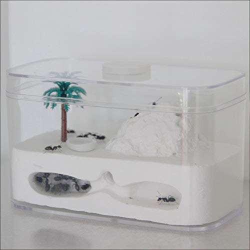 Ant Nest Farm Ant Gypsum Workshop Manor Pet Kingdom Worm Cage Villa Ant Tower DIY Transparent Display Box Birthday Present von MERAXI