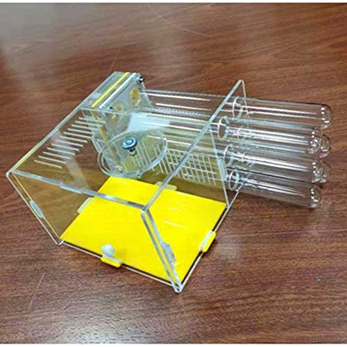 Ant Nest Glass Tube Ant Workshop Worm Cage Villa Tower Acrylic Transparent Display Box Feeding System Habitat Educational and Learning Nature Science (Color : A) von MERAXI