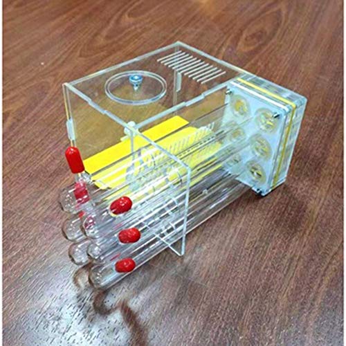 Ant Nest Glass Tube Ant Workshop Worm Cage Villa Tower Acrylic Transparent Display Box Feeding System Habitat Educational and Learning Nature Science (Color : B) von MERAXI