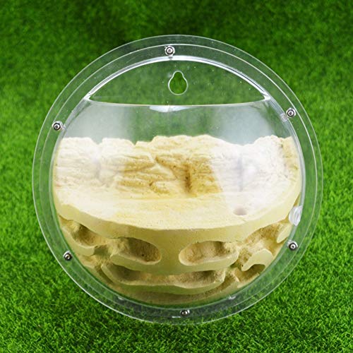 Ant Nest Plastic DIY Transparent Acrylic Farm Worm Feeding System Ant Habitat Educational and Learning Nature Science Birthday Present (Color : A) von MERAXI