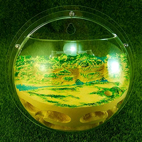 Ant Nest Plastic DIY Transparent Acrylic Farm Worm Feeding System Ant Habitat Educational and Learning Nature Science Birthday Present (Color : B) von MERAXI