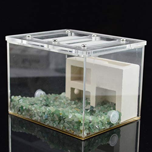 Ant Workshop Mini Plaster Worm Ant Nest Farm Feeding Ecosystem Box Educational Formicarium Habitat for Live Ants Easy to Install von MERAXI