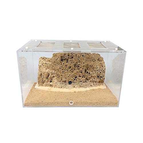MERAXI Ameisenburg Acryl transparentes Ameisennest Wurmfütterungssystem Ameisenlebensraum DIY Montage Ameisenhaustierkäfig Kinder Biologische Beobachtung Spielzeug Geschenke (Size : S) von MERAXI