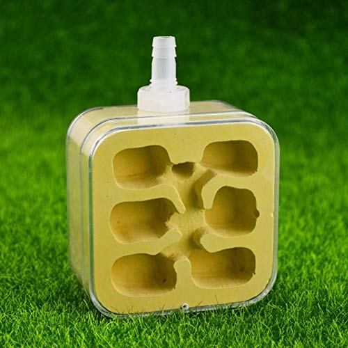 Plaster Small Ant Nest Farm Science Experiment Formicarium Worm Villa Pet Ant Habitat Birthday Present Gift Easy to Install (Color : B) von MERAXI