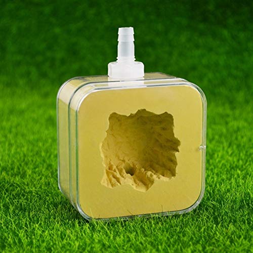 Plaster Small Ant Nest Farm Science Experiment Formicarium Worm Villa Pet Ant Habitat Birthday Present Gift Easy to Install (Color : C) von MERAXI