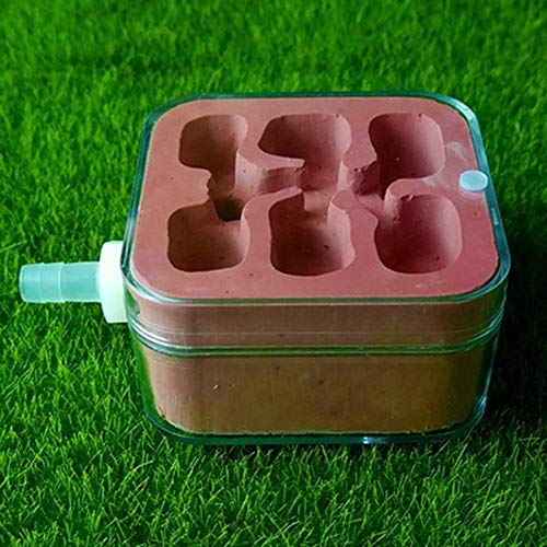 Plaster Small Ant Nest Farm Science Experiment Formicarium Worm Villa Pet Ant Habitat Birthday Present Gift Easy to Install (Color : F) von MERAXI