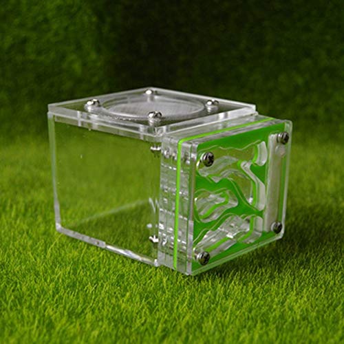 Small Ant Nest Transparent Ant Workshop for Kids Sientific Abservation House Worm Cages Anthill Pet Mania Farm Birthday Present (Color : A) von MERAXI