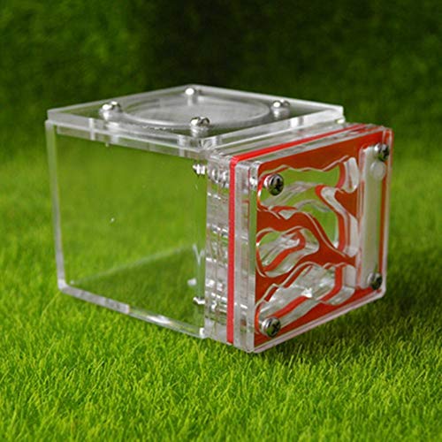 Small Ant Nest Transparent Ant Workshop for Kids Sientific Abservation House Worm Cages Anthill Pet Mania Farm Birthday Present (Color : B) von MERAXI