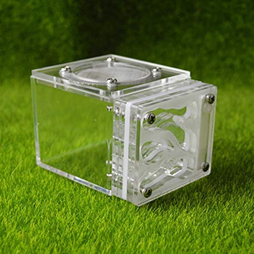 Small Ant Nest Transparent Ant Workshop for Kids Sientific Abservation House Worm Cages Anthill Pet Mania Farm Birthday Present (Color : C) von MERAXI