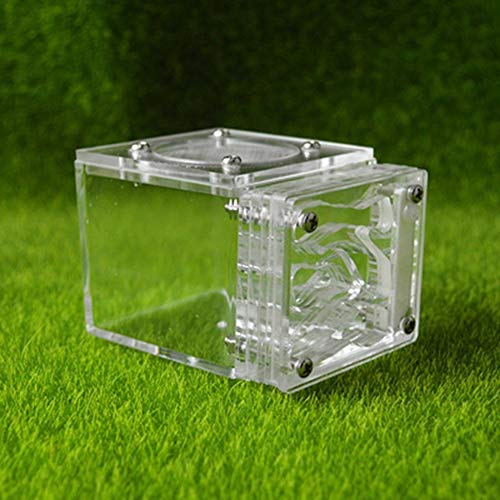 Small Ant Nest Transparent Ant Workshop for Kids Sientific Abservation House Worm Cages Anthill Pet Mania Farm Birthday Present (Color : F) von MERAXI