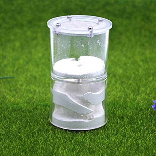 Transparent Ant Nest Acrylic Ant Workshop Plaster Worm Cage Nest Villa Birthday Present Gift Pet Mania House Ant Supplies (Color : B) von MERAXI