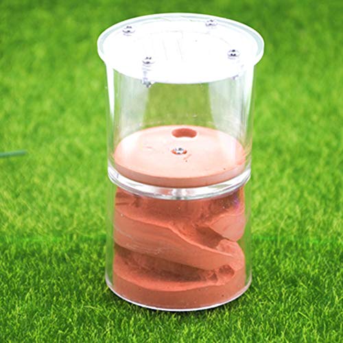 Transparent Ant Nest Acrylic Ant Workshop Plaster Worm Cage Nest Villa Birthday Present Gift Pet Mania House Ant Supplies (Color : C) von MERAXI