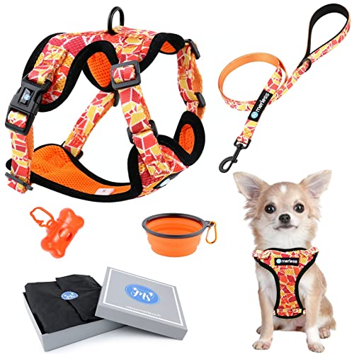 Hundegeschirr für kleine Hunde, Chihuahuas, Welpen und Kätzchen (1,2-3 kg) Verstellbares Geschirr für sehr kleine Hunde Anti-Zug-Weste robust und originell. Spaziergangszubehör (XS Orange, Set 5 in 1) von MERLESS