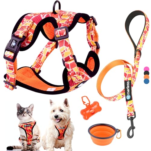 Hundegeschirr für kleine Hunde Welpen und Katzen (3-7,5 kg) Brustgeschirr ohne Zug Gepolstert Atmungsaktiv mit Leine Verstellbar Leicht & Weich Ideal für Spaziergänge Geschenkbox S Orange Set 5-in-1 von MERLESS