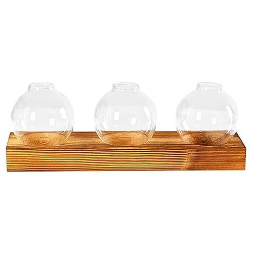 MERRYHAPY Hydrokulturanlage Terrarium Vase Set Desktop Pflanzenvermehrungsstationen Für Wohnkultur von MERRYHAPY