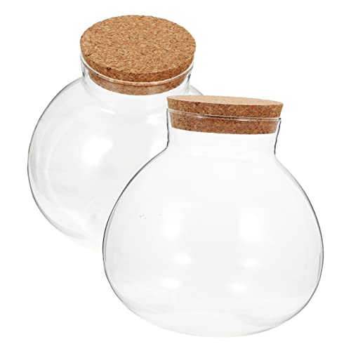 MERRYHAPY Deko-landschaftsflasche 2er Set Glas Moos Pflanzbehälter Für von MERRYHAPY