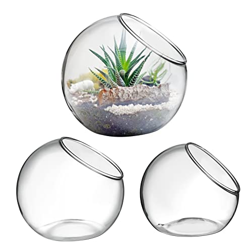 MERRYHAPY 3 Stück Terrarium Luftpflanzen Pflanzgefäße Glasvasen Für Tischdekoration Moderne Tischpflanzgefäße Aus Klarem Glas Für Heimbüro Und Wohnzimmer Deko Ideal Für Luftpflanzen Und von MERRYHAPY