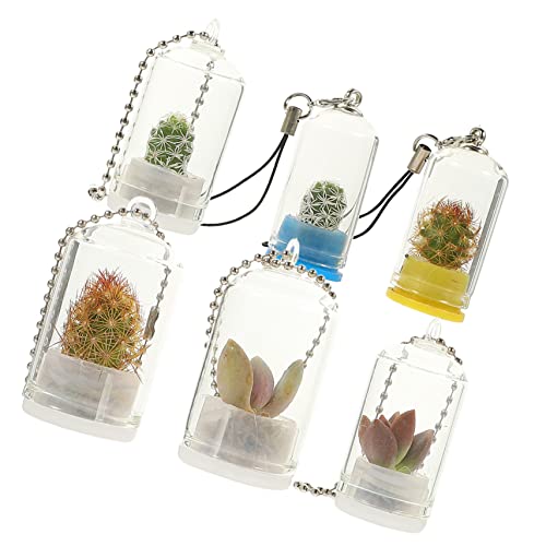 MERRYHAPY 6St Schlüsselanhänger Cloche-Glas für die Dekoration Golddekor Miniatur-Pflanzgefäß- hängende Blumentöpfe Gracy microanlagen Luftpflanzen Terrarium Mini-Vermehrungshalter von MERRYHAPY