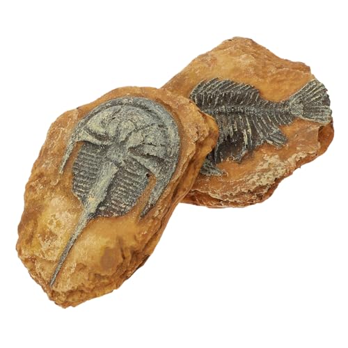 MERRYHAPY 8 STK simuliertes Harzfossil kreative Terrariendekorationen Eidechsenspielzeug Panzerspielzeug Meerestiere Reptile Decor Snake Box Ornaments Eidechsenlandschaft kreative Landschaft von MERRYHAPY