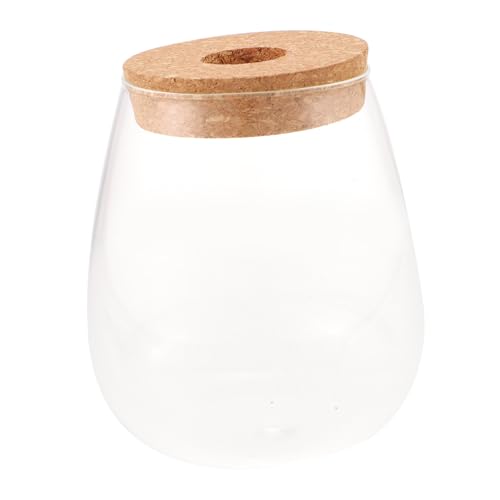 MERRYHAPY Flasche Fallen Lassen Runder Pflanzer Luftdichter Kaffeebehälter Hydroponische Pflanzen Klarer Behälter Klare Vase Versiegelter Behälter Zylindervase Zierbehälter Terrarium Holz von MERRYHAPY