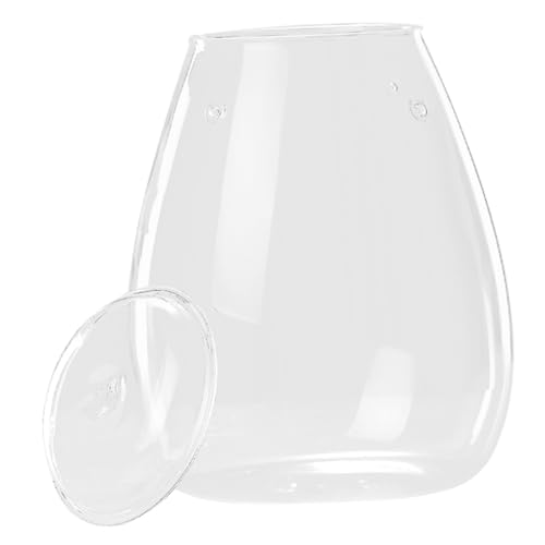 MERRYHAPY Moos-öko-Flasche Mikro-landschaftspflanzerflasche Micro-landschafts-DIY-Flasche Transparente Flasche Leeres Terrarium Hydrokulturvase Moos Ökologische Flasche Tischschmuck Glas von MERRYHAPY