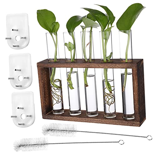 MERRYHAPY Vase Wandbehang Pflanzgefäße Anzuchtstationen Mit Reagenzgläsern Und Holzständer Reinigungsbürsten Und Nägeln Für Einfache Installation Terrarium Zubehör von MERRYHAPY