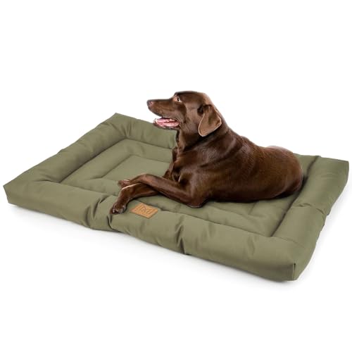 MERSJO Hochwertiges Hundebett für Kleines und Mittelgroße Hunde, Maximaler Liegekomfort, 100% Oxford-Gewebe mit PVC-Beschichtung, Äußerst Bequem, Dog Bed, Kratz- und Schmutzabweisend, Olive, 76x46 cm von MERSJO