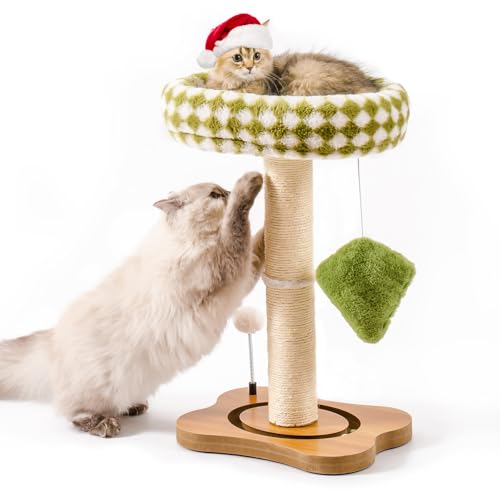 MEWOOFUN Kratzbaum, Katzen Baum Klein mit Plüsch Perch, Katzenmöbel Katzenkratzbaum Holz, 64 cm hoch, Kratzsäule mit Geflochtenem Natursisal, mit Plüschball Interaktiven Spielzeug Sockel (Grün) von MEWOOFUN